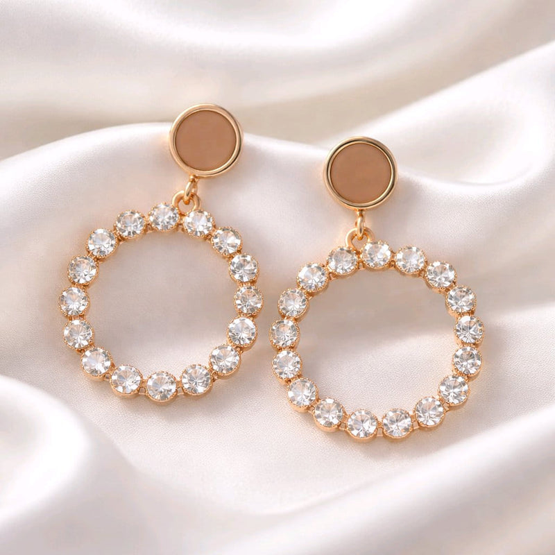 NNED053 ZYN Shiny Round Drop Earrings