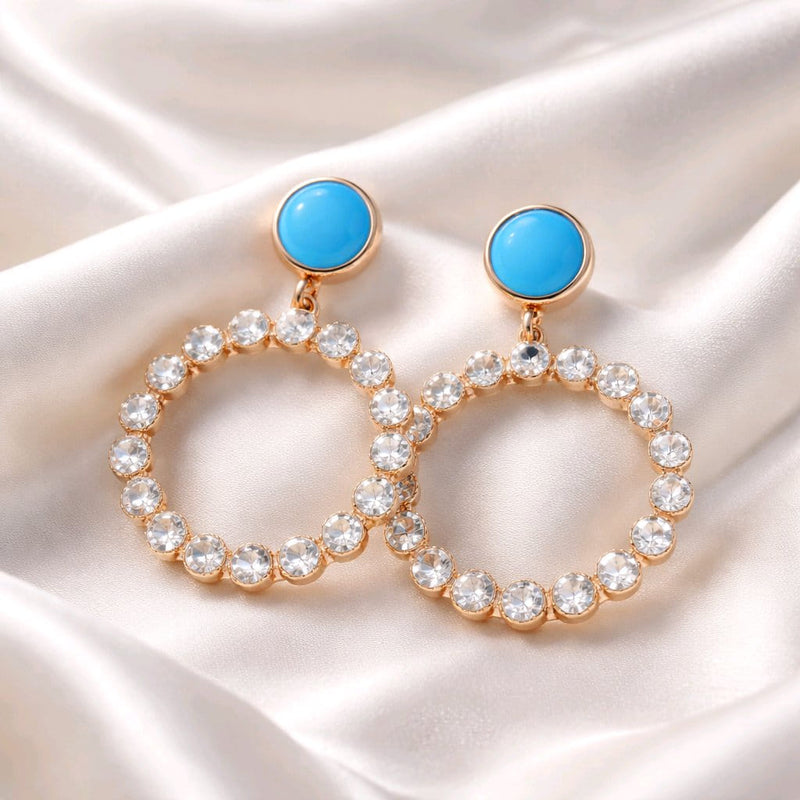 NNED053 ZYN Shiny Round Drop Earrings